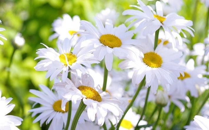 ДРУГУ В ДЕНЬ РОЖДЕНИЯ