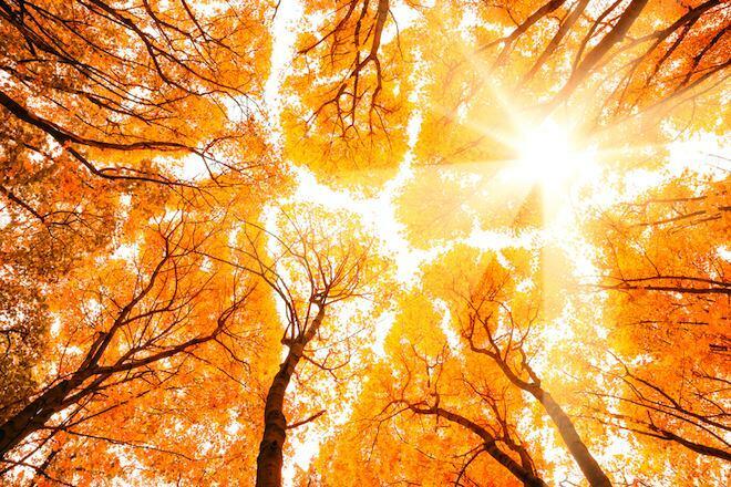 Арена солнца