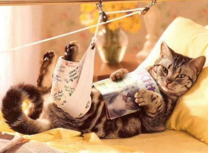 Больничка)))