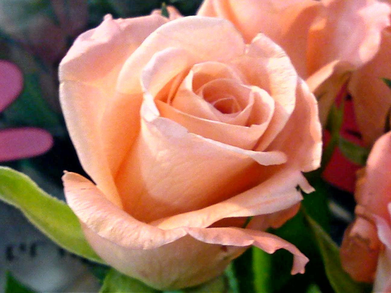 Притчи, глава 31 - перевод с иврита