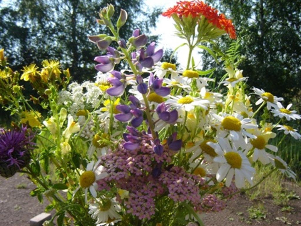 ПЕРВАЯ ЛЮБОВЬ