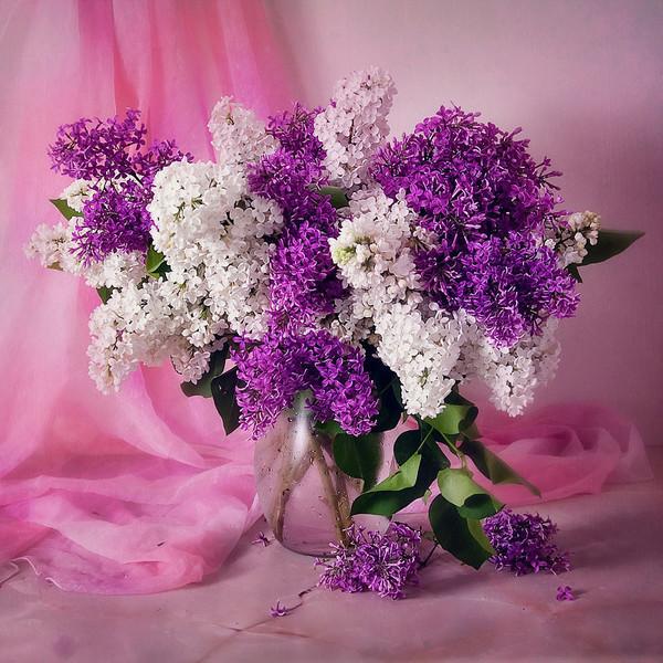 БОЛЬШЕ К НЕЙ НЕ ПОЕДУ