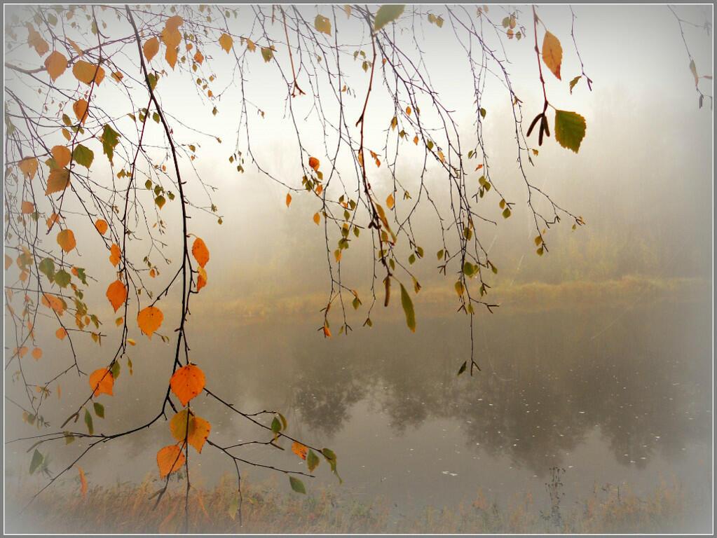 Сезон прохлады и застоя...