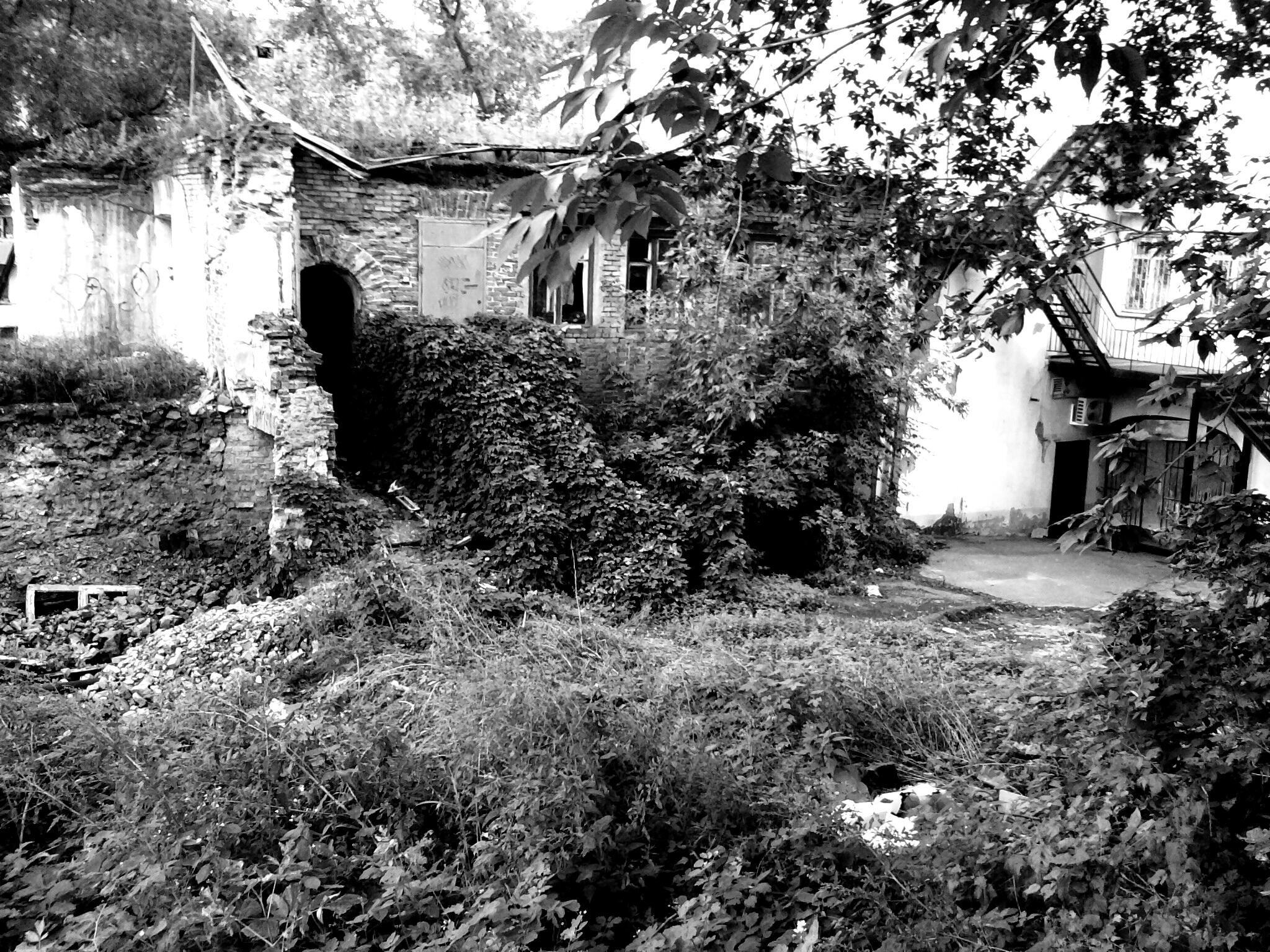 Забытый дом