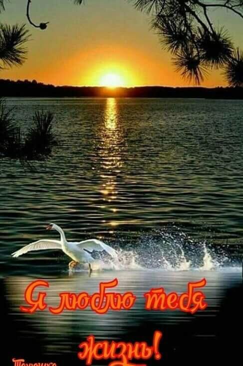 ЛЮБИТЕ ЖИЗНЬ - СНИМИТЕ МАСКИ...