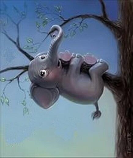 Слон залез на дерево...