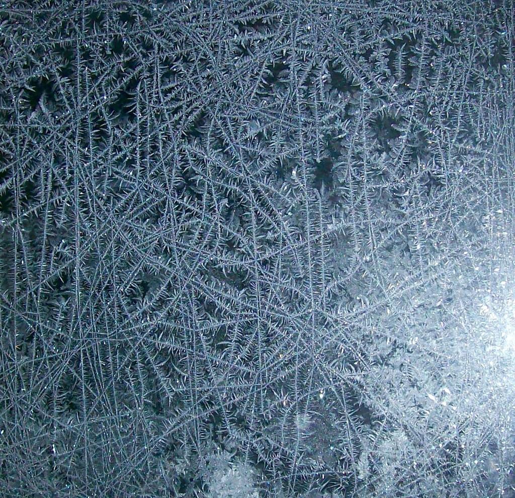 Я вернулась в заснеженный город...