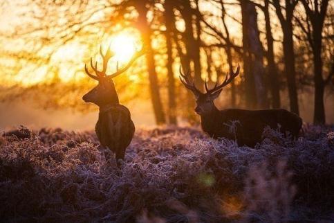Впусти в себя солнце