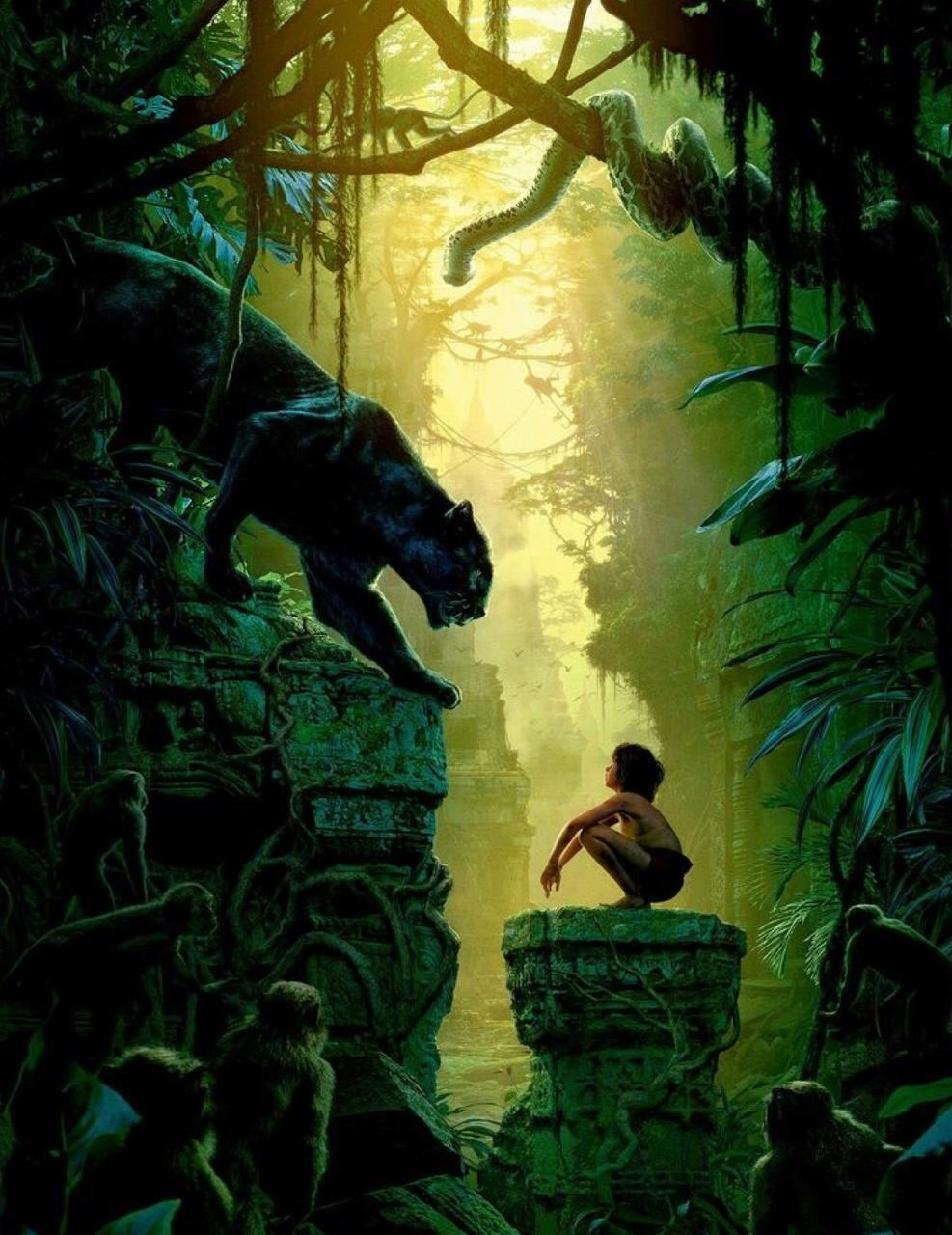 Законы джунглей