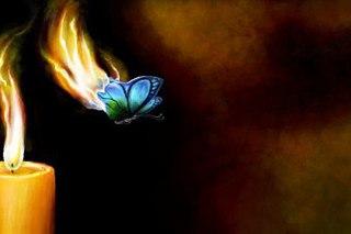 Словно бабочки...