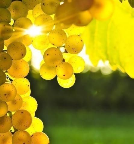 Из разных Галактик