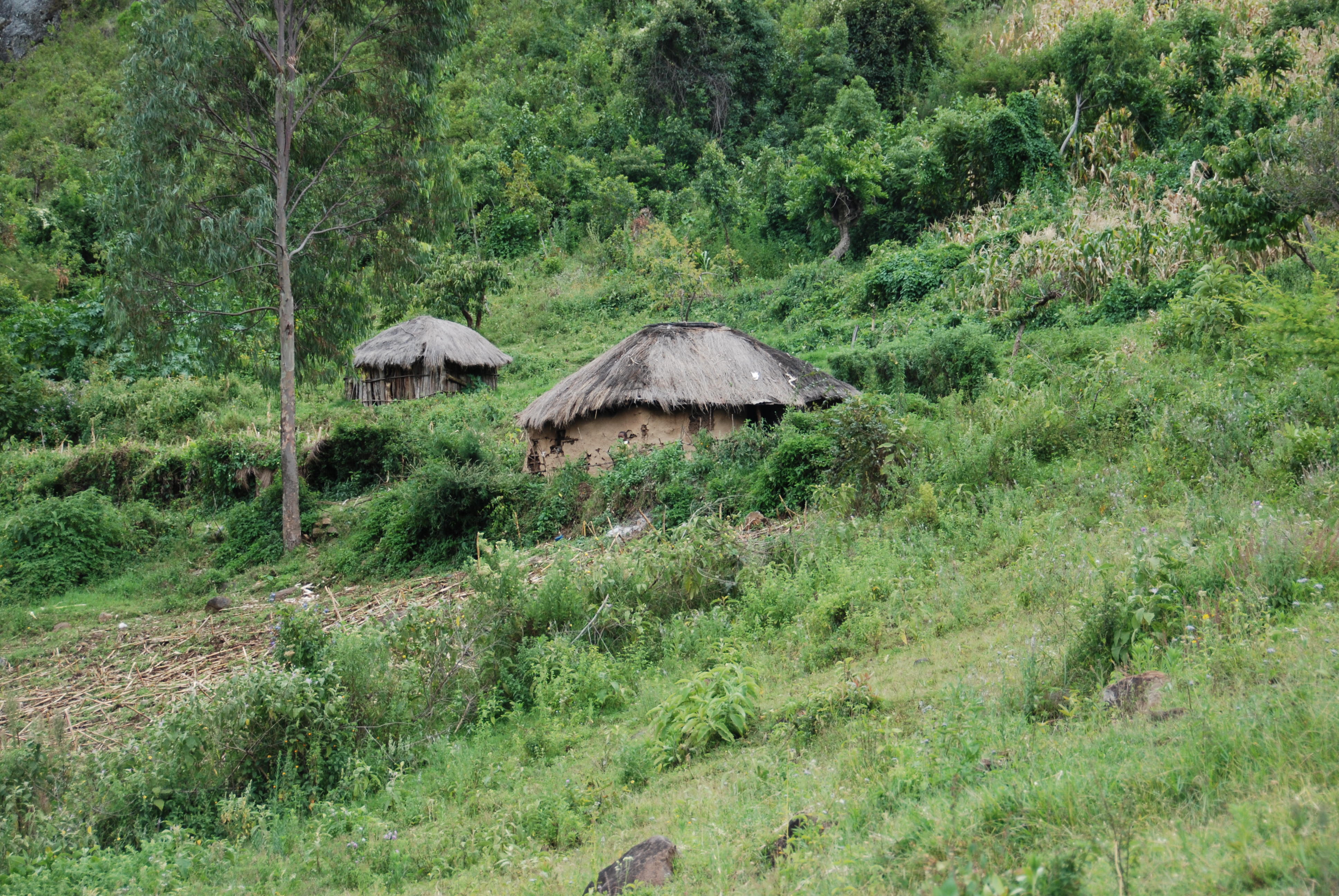 Быль, скорее всего...