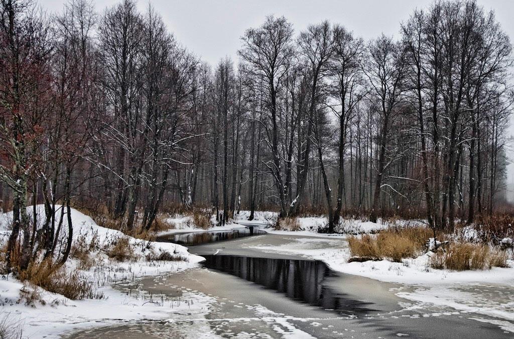 На трон зима вступает... Японский сонет