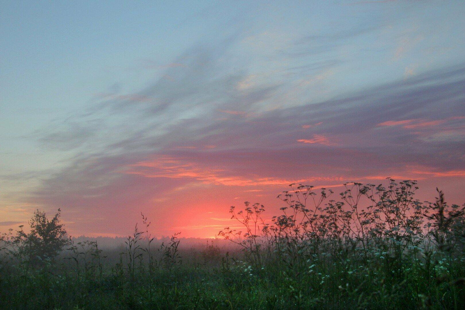 Лето красное