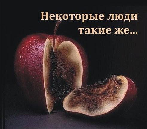 Я не люблю /о дружбе.../