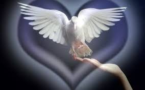 Не забывай!