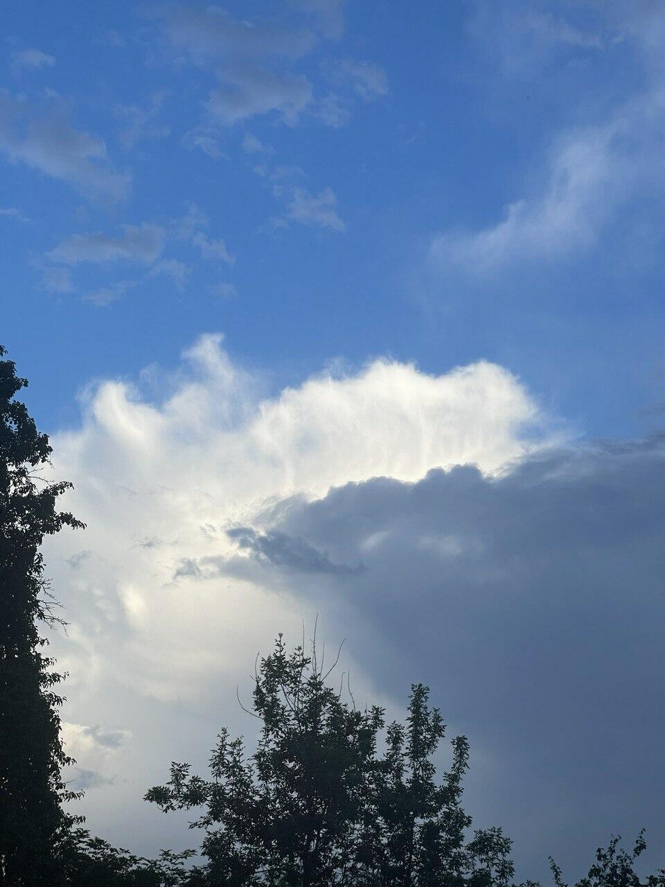 Есть такие дни, где ты сам не свой