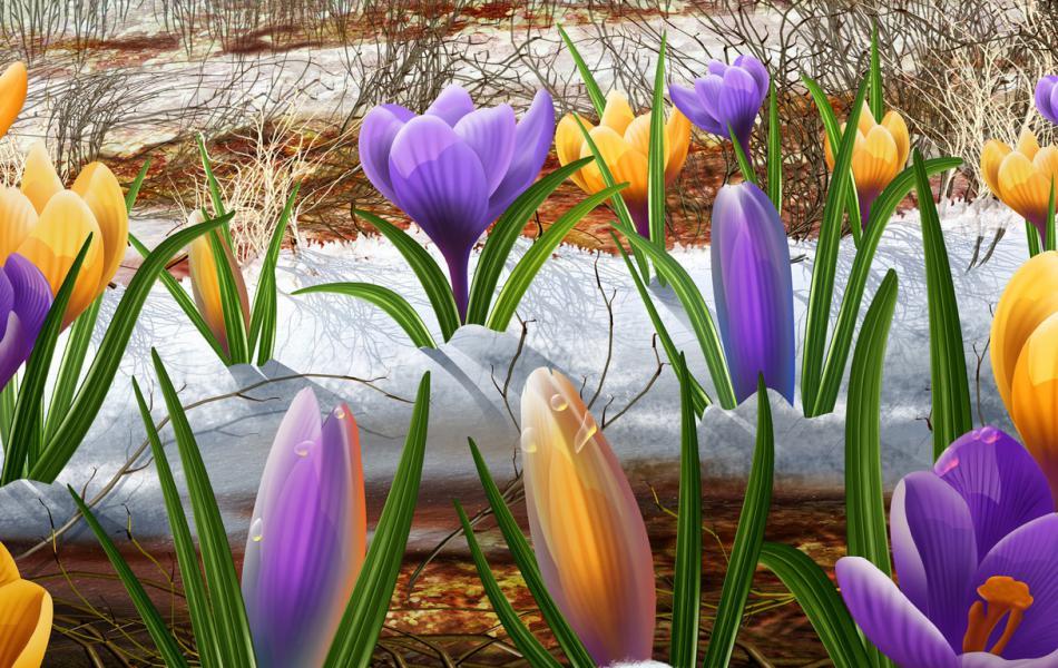 Все будет прекрасно