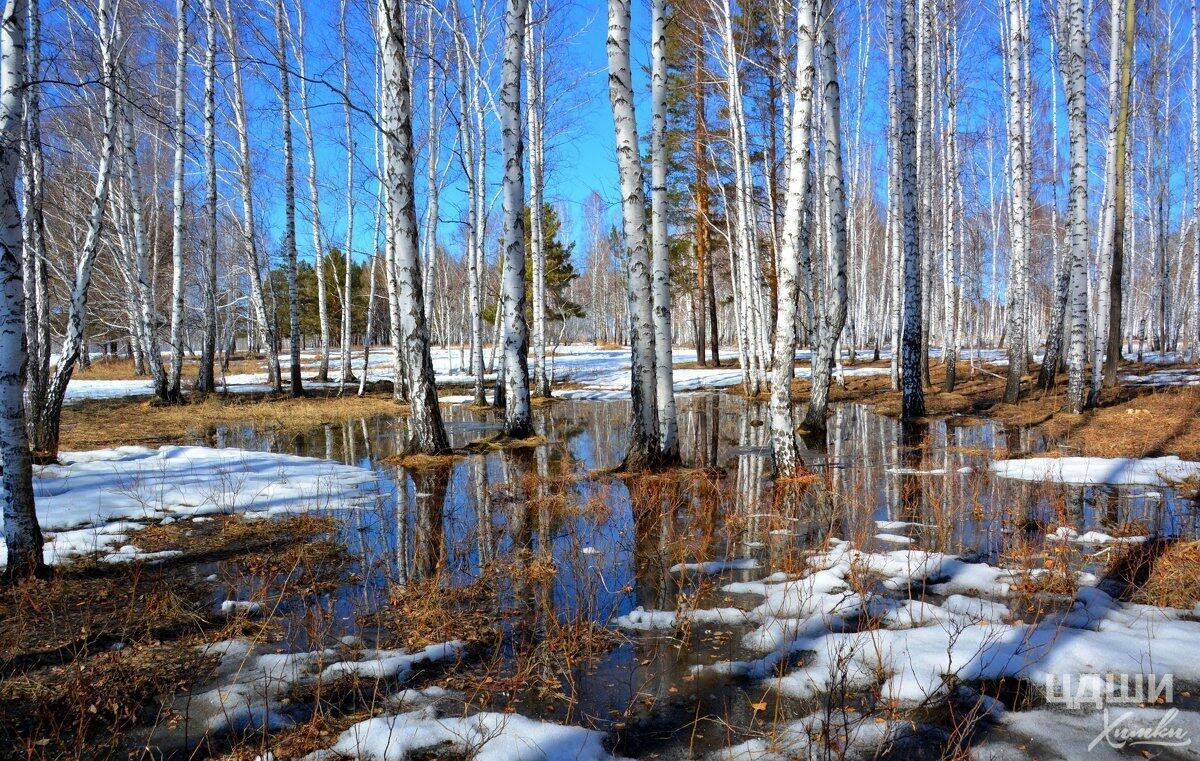 В ФЕВРАЛЕ НЕ ХОЛОДНО - (акро)