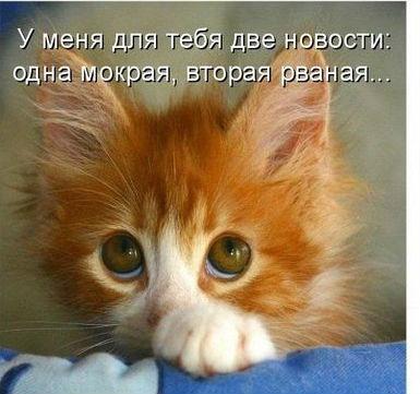 Я не хотел (фото-прикол)