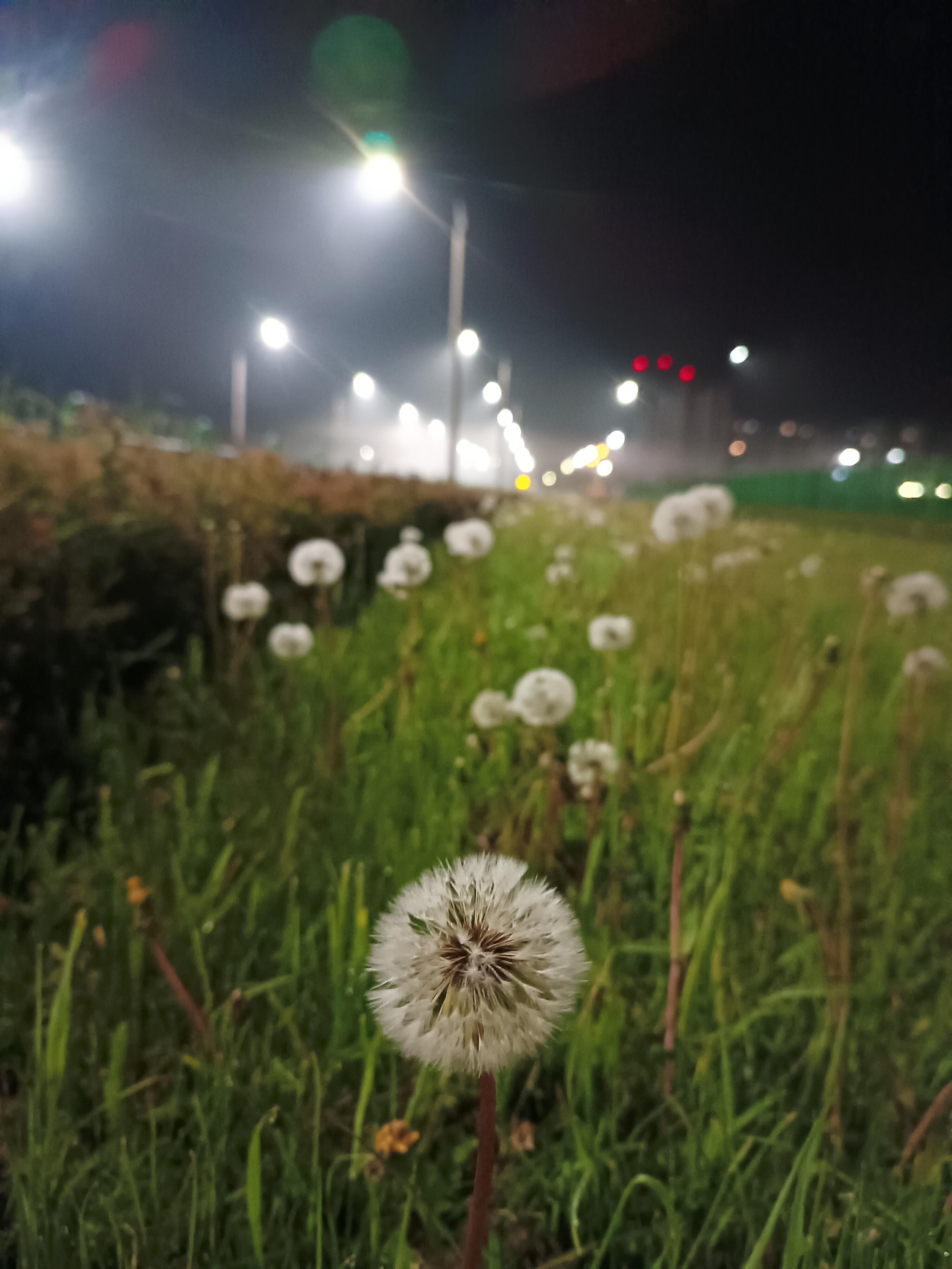 День без негативных эмоций