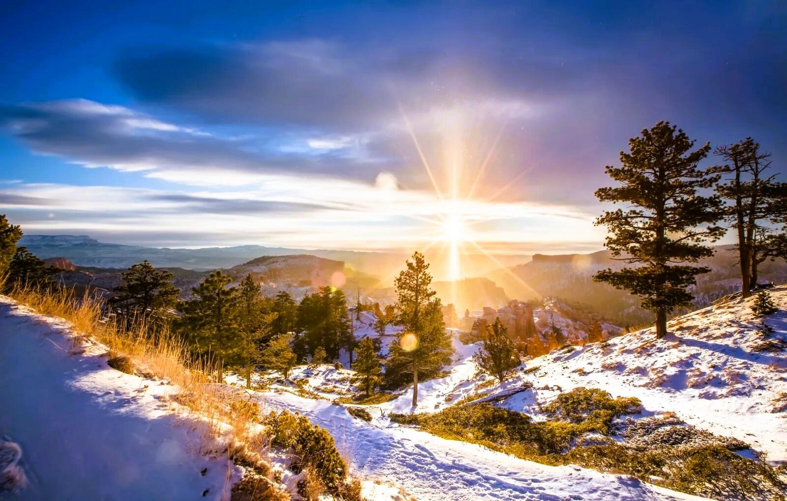 «Аль», «аль»!