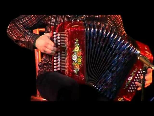 Гармонист ищет мудрость