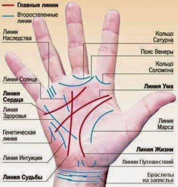 У меня рука счастливая