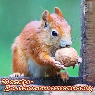 Вот такой день!