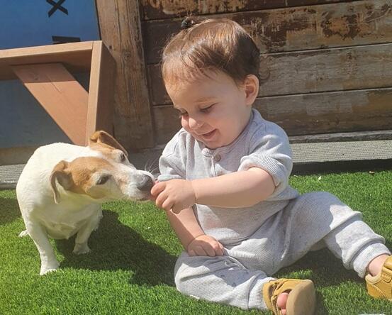 ПОДАРИТЕ МНЕ ЩЕНКА! - акростихи