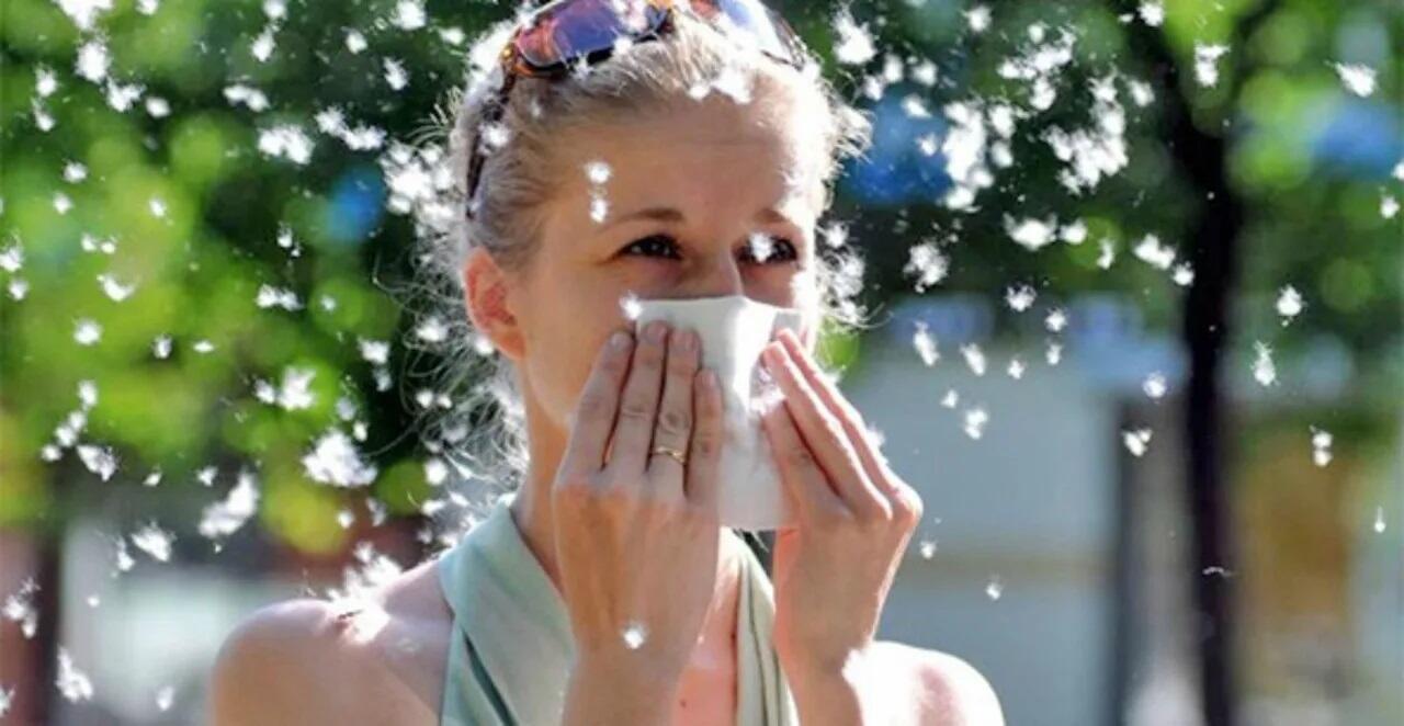 АЛЛЕРГЕНЫ, АЛЛЕРГЕНЫ...