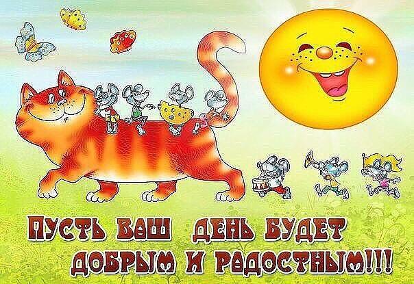 Благодарные коты