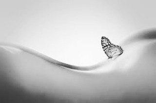 Чувства женщины.