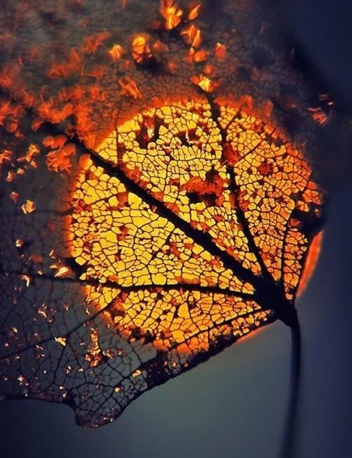 Не позволяй себе грустить.