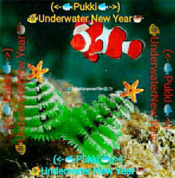 Underwater New Year - Подводный Новый Год