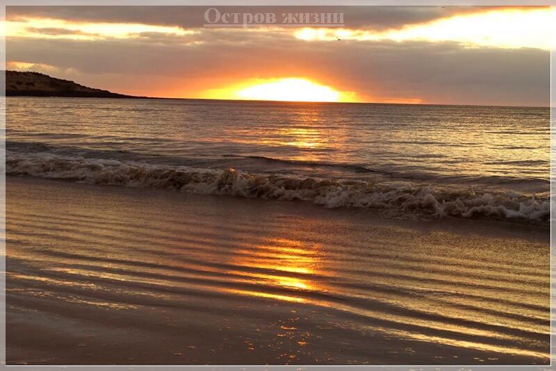 На клавишах жизни. Остров жизни