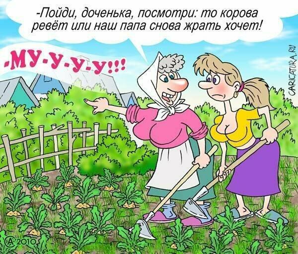 ЗВУКИ  НА  ДАЧЕ