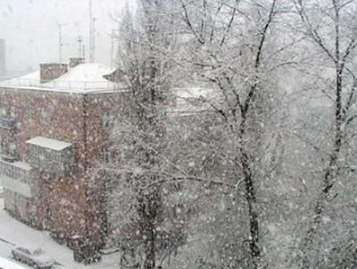 Снежные загадки