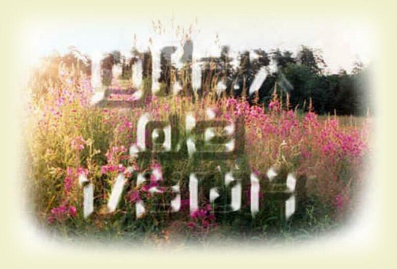 #6_<  угрa дэ цзин / КОАНЫ и СУТРЫ >