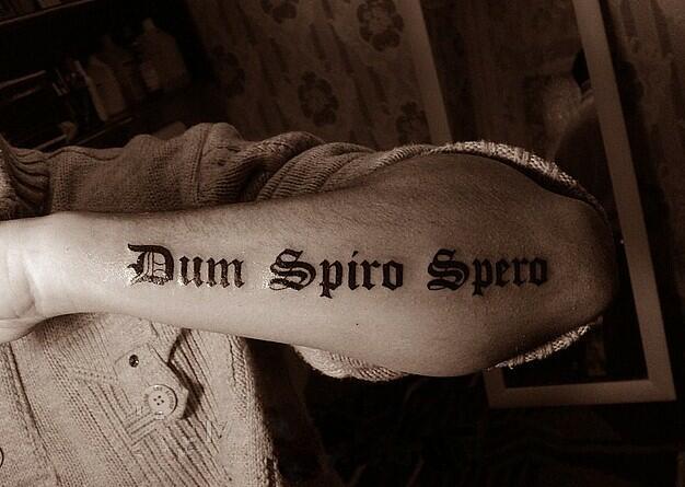 Dum spiro spero картинка