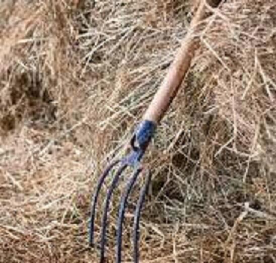 ПОРТРЕТ ЛЕТА 4