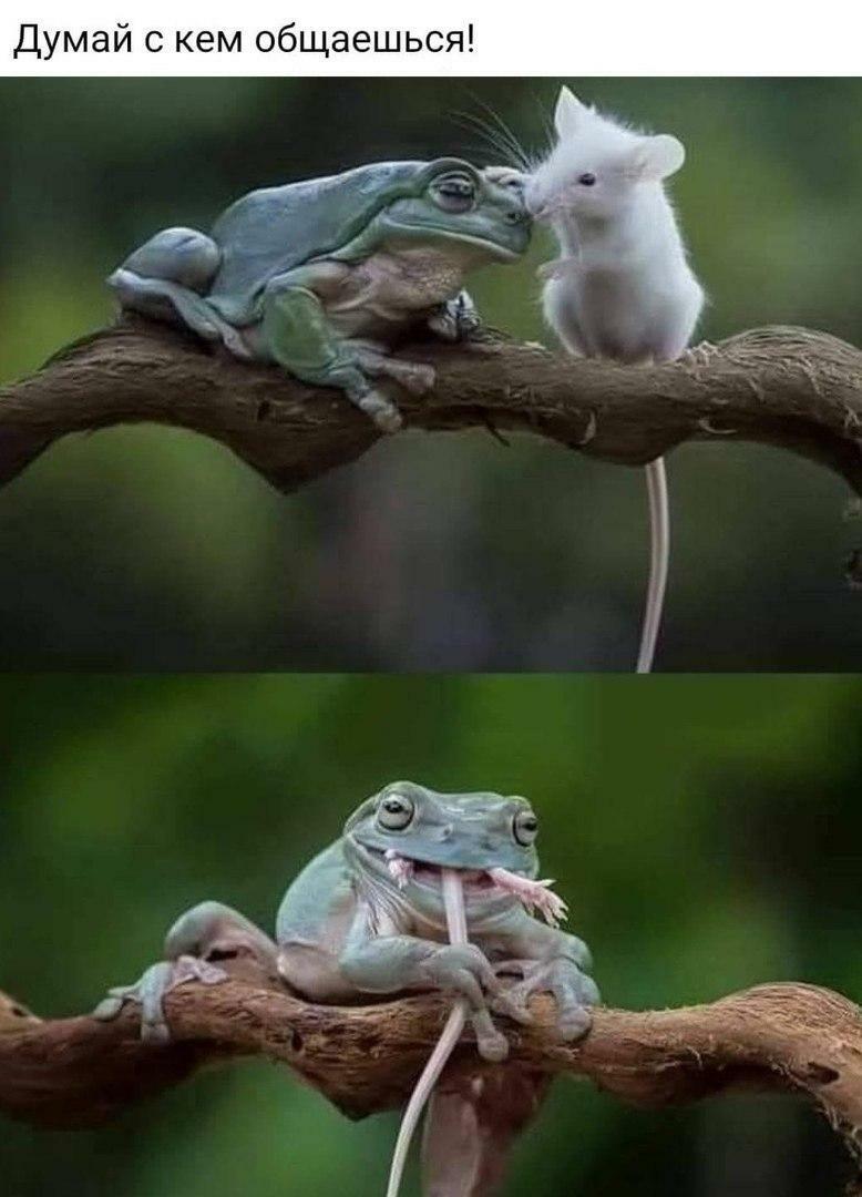 В пивной "У Вани" ч - 75