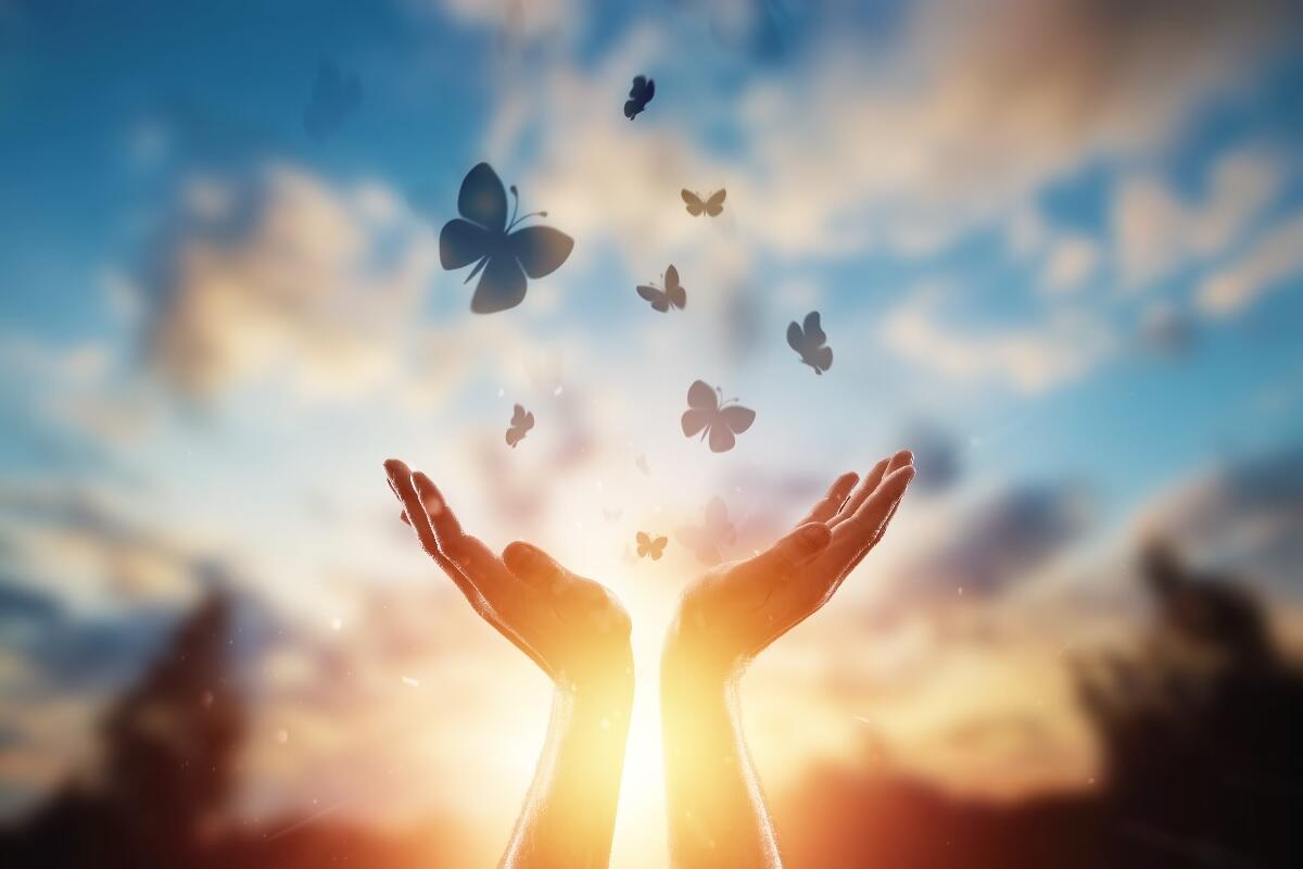 Взойду надеждой...