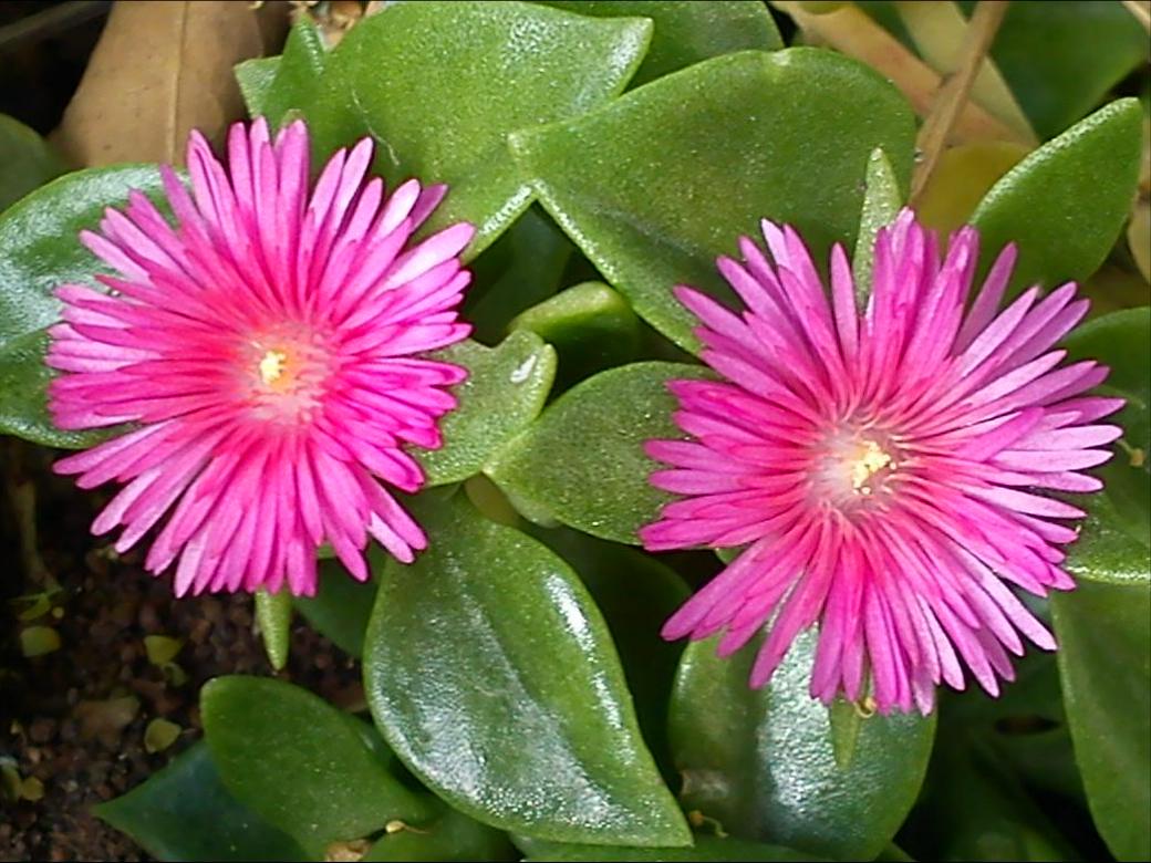 Притчи, глава 13 - перевод с иврита