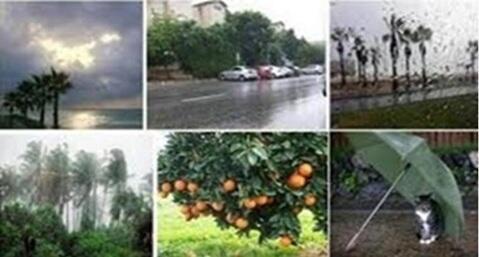 А Я С ПОГОДОЙ НЕ В ЛАДУ...