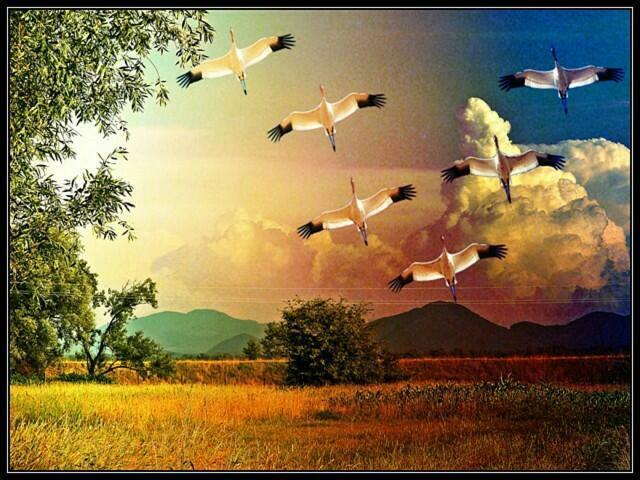 ВИРТУАЛЬНЫЙ ПОЛЁТ /ТРЕТЬЯ ЧАСТЬ ТРИПТИХА/