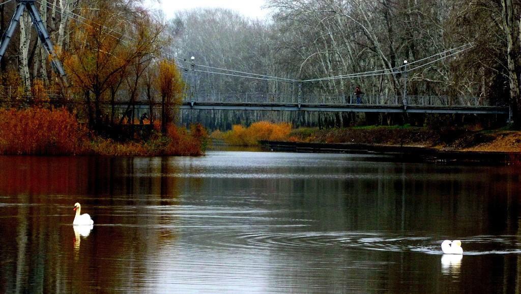 ТЕЛЕФОННЫЙ РАЗГОВОР.