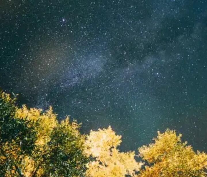 Звёздной ночью 