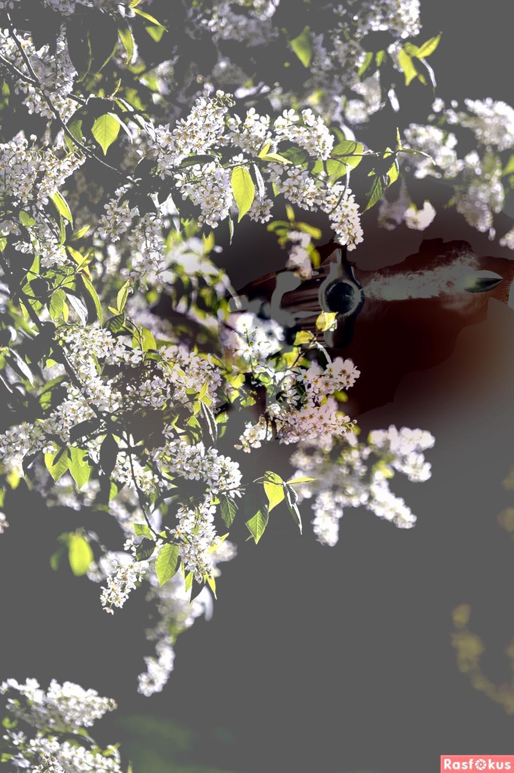 Бывают ночи…