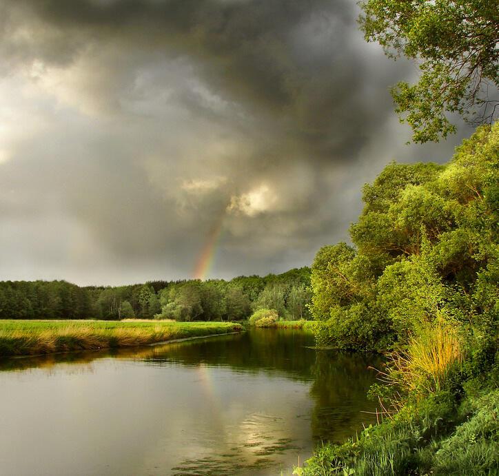 СОВЕТ ВЕРХОВ РЕШАЕТ НОВОСТЬ ДНЯ